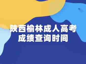 陜西榆林成人高考成績查詢時間