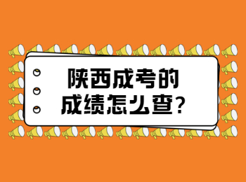 陜西成考的成績?cè)趺床?