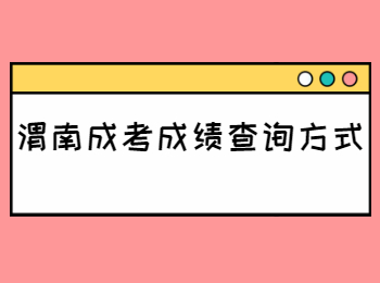 渭南成考成績查詢方式