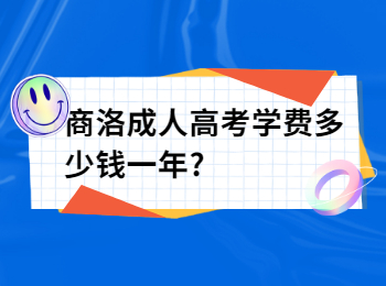 商洛成人高考學(xué)費(fèi)多少錢一年