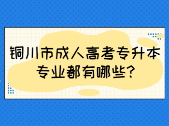 銅川市成人高考專升本專業(yè)都有哪些