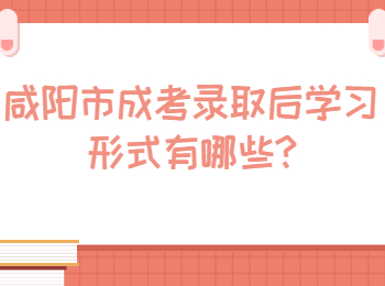 咸陽市成考錄取后學習形式有哪些