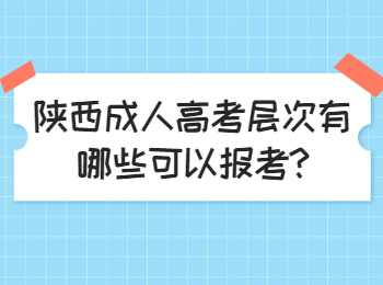 陜西成人高考層次有哪些可以報考