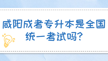 咸陽成考專升本是全國統(tǒng)一考試嗎