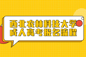 西北農林科技大學成人高考報名