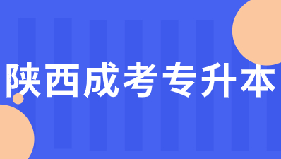 2024年陜西成人高考專升本考試考什么？