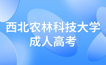 西北農(nóng)林科技大學(xué)成人高考學(xué)歷能考編嗎？