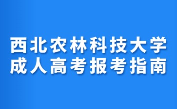 2024年西北農(nóng)林科技大學(xué)成人高考報考指南