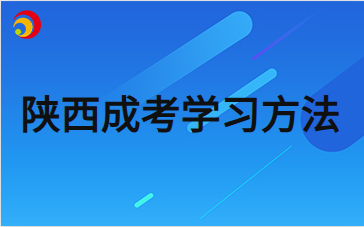 2024年陜西成人高考高起點數(shù)學考試大綱題型分析